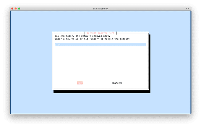 OpenVPN setup port